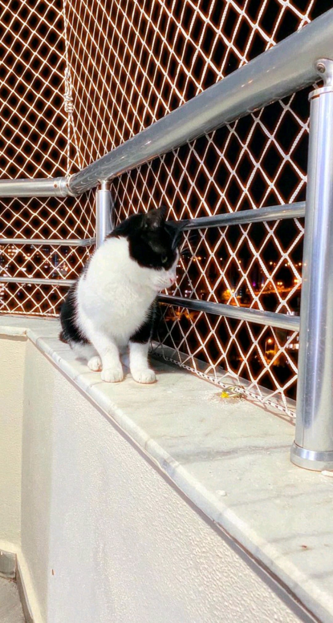 Mersin ve Adana Kedi Filesi Balkon Güvenliği